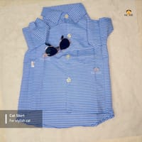 3.5 kg cat shirt_img_1