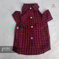 2.5 kg cat shirt_img_0