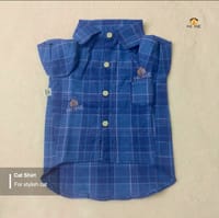 2.5 kg cat shirt_img_0