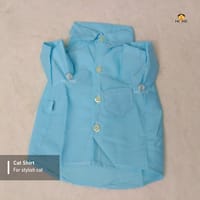 2.5 kg cat dress_img_0