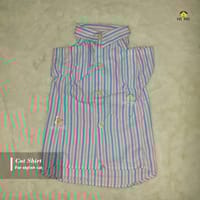 2.5 kg cat shirt_img_0