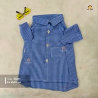 2.5 kg cat shirt_img_0