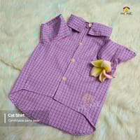 1.7 kg cat shirt_img_0