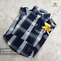 2.3 kg cat shirt_img_1