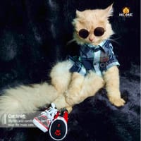 2.3 kg cat shirt_img_0