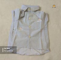 2.5 kg cat shirt_img_0