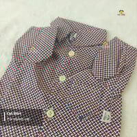 2 kg cat shirt_img_0