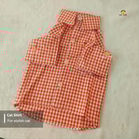 700 gm cat shirt_img_0