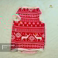 cat t-shirt (1 kg)_img_0