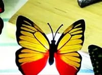 Butterfly shaped home decorating wall light | Color changing LED Wall Sticker | Single_img_2