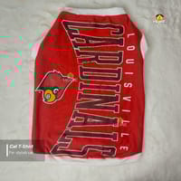 cat t-shirt (6,5 kg)_img_0