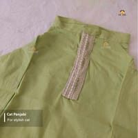 3.5 kg cat panjabi_img_0