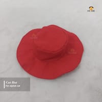Cat hat_img_0