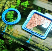 Feeding Ring🔳🥩🐠_img_0