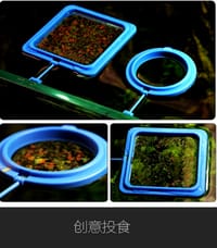 Feeding Ring🔳🥩🐠_img_1