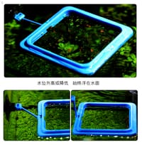 Feeding Ring🔳🥩🐠_img_2