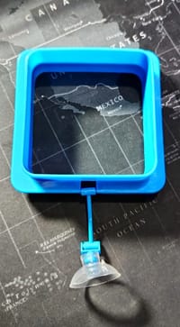 Feeding Ring🔳🥩🐠_img_3