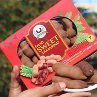 মিস্টি তেঁতুল বক্স (খোসা সহ) 225 gm- 3 box_img_2