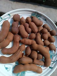 মিস্টি তেঁতুল বক্স (খোসা সহ) 225 gm- 3 box_img_3