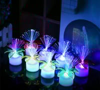Colorful LED Optic Fiber Flower Light Star Sky Shaped Valentine Party Lamp Day Atmosphere Home Decoration Night Festival_img_0
