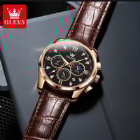 OLEVS 2871 Luxury Watch_img_3