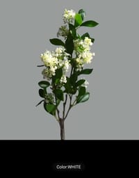 Kamini Flowers_img_1