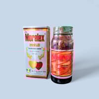 Morelex Gold [ প্রাকৃতিক যৌনশক্তি বৃদ্ধি কারক ]_img_3