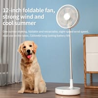 P30 FOLDING FAN_img_1