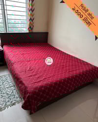 Shiuli Nokshikatha_img_0