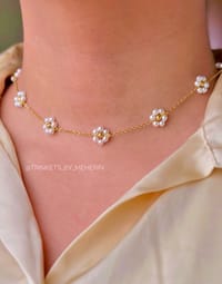 White daisy flowers_img_0