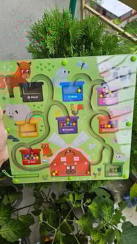 Megnetic colour founding intelligence toy_img_0