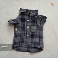 2 kg cat shirt_img_0