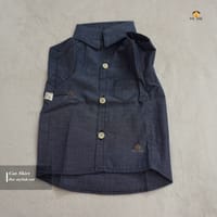 2.5 kg cat shirt_img_0