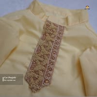 4 kg cat panjabi_img_0