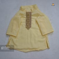 4 kg cat panjabi_img_1