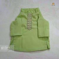 4 kg cat panjabi_img_0