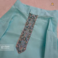 4 kg cat panjabi_img_0