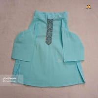 4 kg cat panjabi_img_1