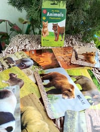 Animal Fruits Flash Card_img_1