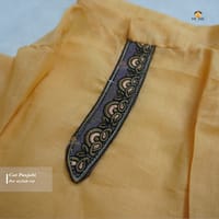 3.5 kg cat panjabi_img_0