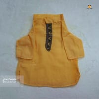 3.5 kg cat panjabi_img_1