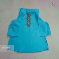 cat panjabi (3.5,2.3 kg)_img_1