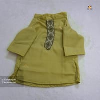 4, kg cat panjabi_img_1