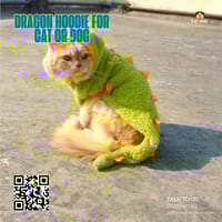 Dragon hoodie (5 kg)_img_0