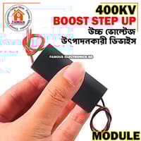 DC 3V-6V bis 400kV 400000V Step up Power Module High Voltage Generator (Combo)_img_8