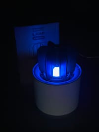Mosquito Killer Lamp_img_1