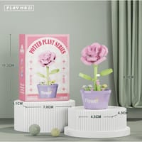 Rose - Potted Plants Series_img_0