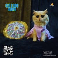 Cat frock (5kg)_img_0