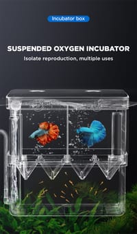 🔳Yee Breeding Box - 14/14/8cm._img_0