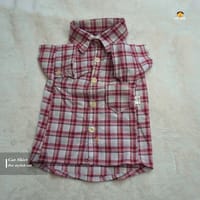 2.3 kg cat shirt_img_1